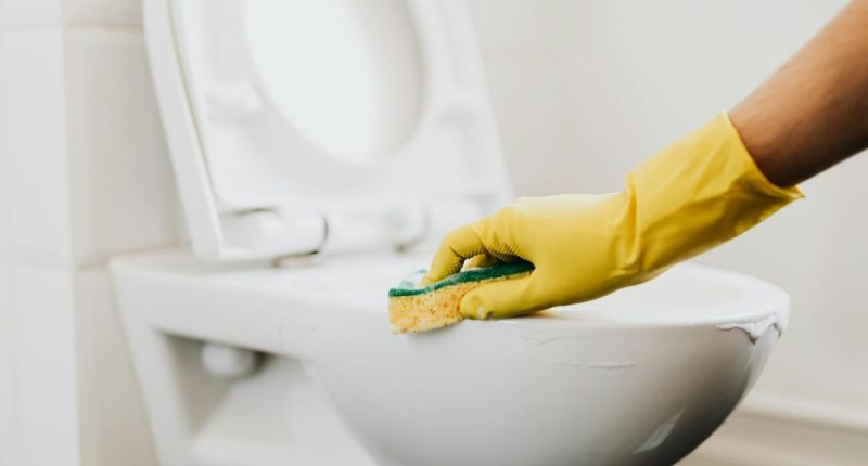 o que é saneamento básico e por que importa