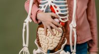 o que é síndrome do intestino irritável