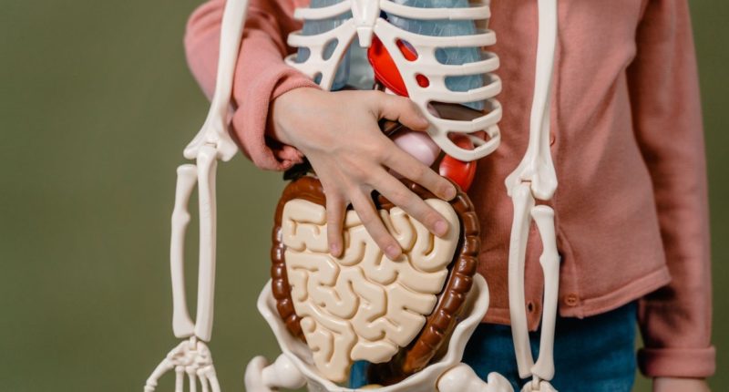 o que é síndrome do intestino irritável