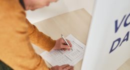 o que é voto distrital e proporcional