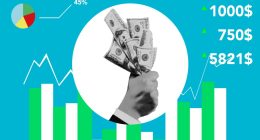 o que é renda básica universal no Brasil