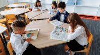como funciona o sistema de ensino fundamental