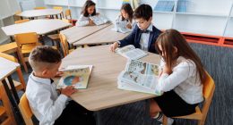 como funciona o sistema de ensino fundamental