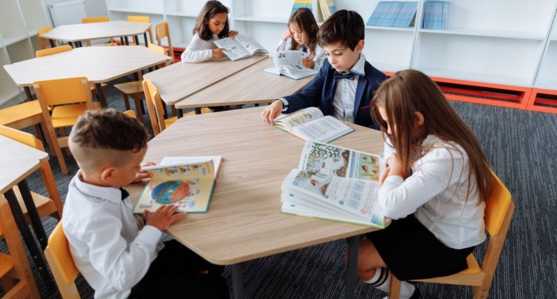 como funciona o sistema de ensino fundamental
