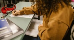 como funciona a educação pública no Brasil