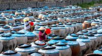 o que é fermentação natural