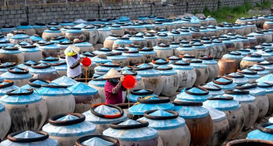 o que é fermentação natural