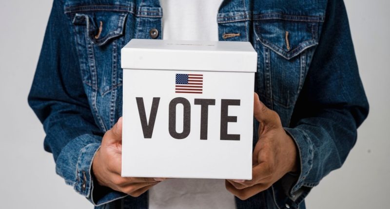 dicas para participar na política local